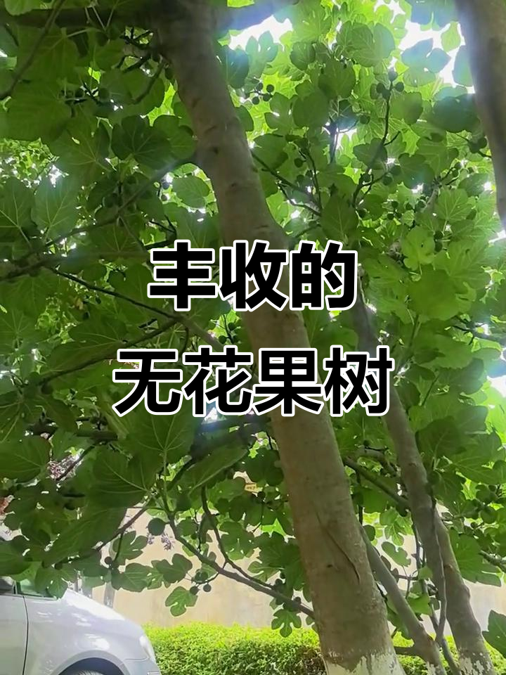 严阵以待，胜利的果实即将成熟！