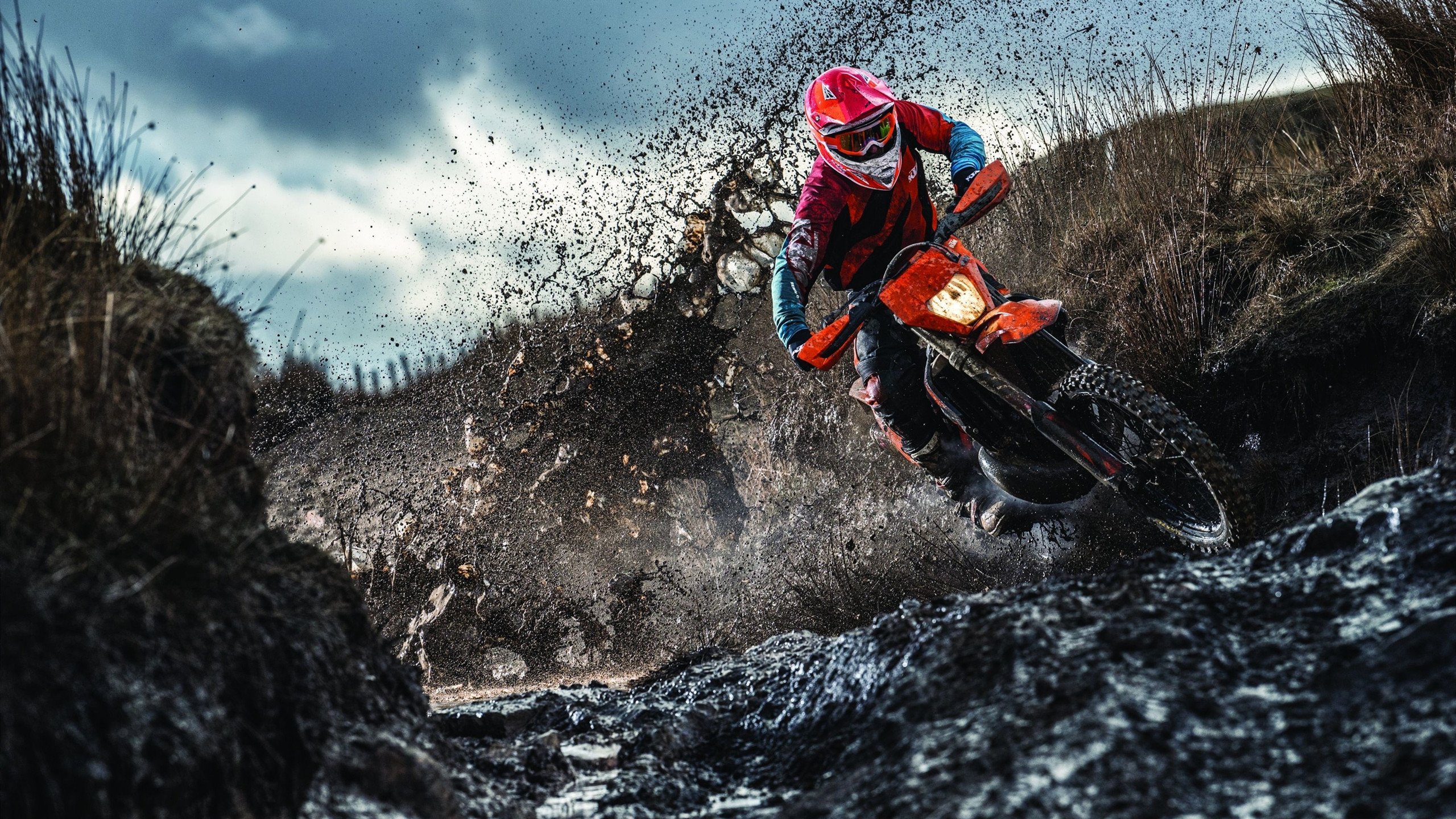 羽坛风云，德国队完胜印度队，李梓嘉表演赛统治全场